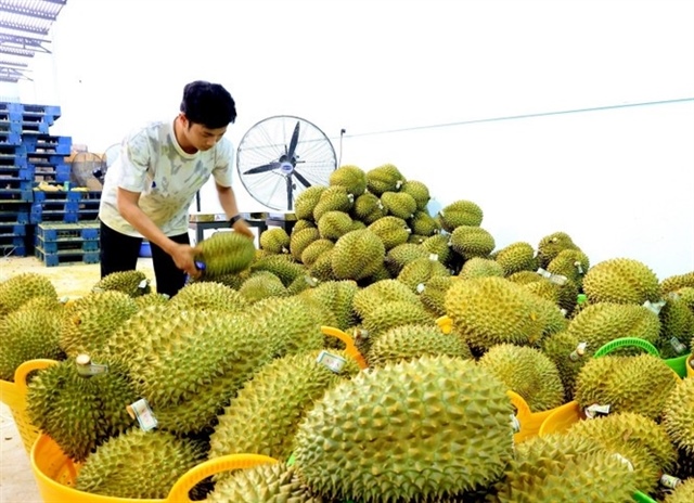 China requires official letters for 20 groups of agricultural imports