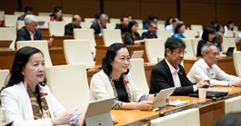 65 người ngoài Đảng ứng cử đại biểu Quốc hội khóa mới, 4 người tự ứng cử