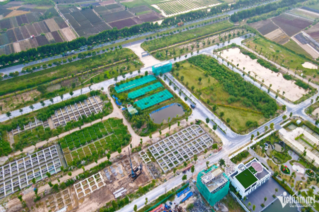 Đất nền có trở lại ‘ngôi vương’ đầu tư trong năm 2026?