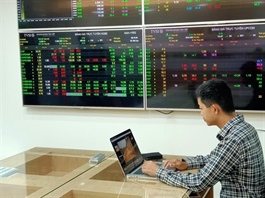 Vietnamese stock accounts surpass 12 million in January