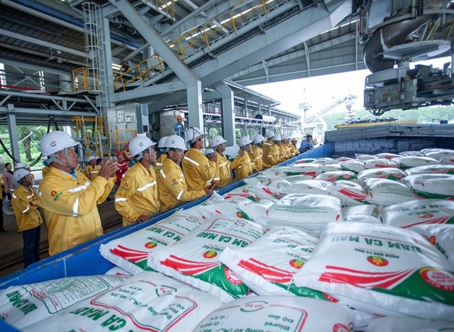 Cà Mau Fertiliser successfully exports first shipment to the US