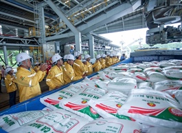 Cà Mau Fertiliser successfully exports first shipment to the US