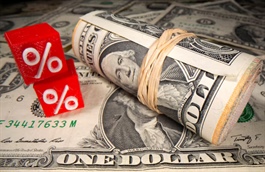 Vì sao nợ toàn cầu tăng mạnh lên kỷ lục 348,000 tỷ USD?