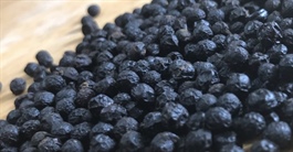 Thái Lan bất ngờ chi tiền gấp 4 lần mua hơn 1.200 tấn ‘vàng đen’ của Việt Nam