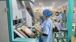 A An files for HoSE listing