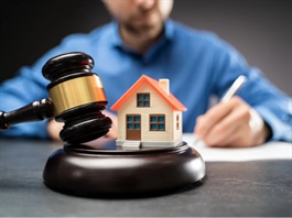 Tăng cường giám sát quản lý đất đai: Các thông tin phản ánh hành vi vi phạm được tiếp nhận