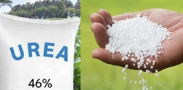 Chiến sự tại Trung Đông tác động tới thị trường phân bón ra sao?