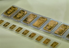 Sáng 4-3, giá vàng miếng SJC, vàng nhẫn rớt 5 triệu đồng/lượng