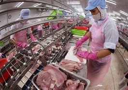 Acting minister urges EAEU to further open market for Vietnamese aquatic products