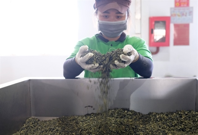 Tea industry eyes quality, market diversification to expand exports