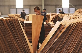 US imposes preliminary anti-dumping duties of nearly 195 per cent on Vietnamese plywood