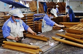 Việt Nam wood industry needs to diversify export markets, shed reliance on US