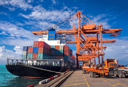 Việt Nam nhập siêu gần 3 tỷ USD trong hai tháng đầu năm 2026