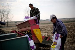 Thị trường phân bón toàn cầu căng thẳng, nông dân thấp thỏm