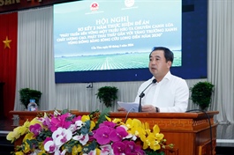 Đề án 1 triệu ha lúa chất lượng cao vượt gần gấp đôi mục tiêu sau 2 năm