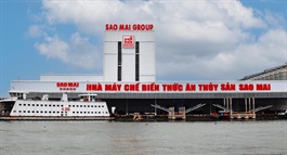 Sao Mai giải thể công ty con hiệu quả thấp, cổ phiếu giảm sàn