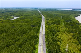 Đề xuất đầu tư tuyến vượt biển Cần Giờ - Vũng Tàu dài 14 km