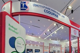 Codupha chấm dứt đầu tư nước ngoài