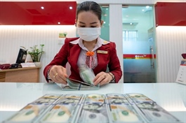 Giá USD tăng kịch trần