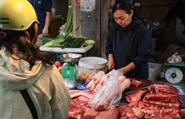 Nhiều mặt hàng thực phẩm tại TP Hồ Chí Minh lên nhẹ do giá xăng dầu tăng