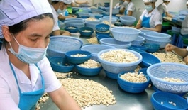 Middle East conflict could cost Vietnam $8 billion in farm exports