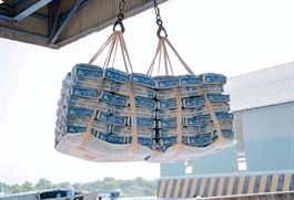 Vicem Hải Vân trở lại UPCoM từ 18/03 với giá tham chiếu 2,100 đồng/cp