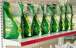 Công ty bán gạo ở An Giang giảm lỗ sau kiểm toán