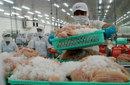 Một số doanh nghiệp thủy sản tạm dừng xuất khẩu Trung Đông