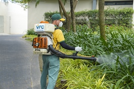 VFG sắp chi nốt gần 42 tỷ đồng cổ tức năm 2025