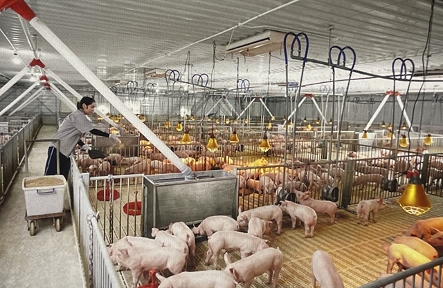 Livestock sector aims for sustainable growth, targets $1 billion in exports