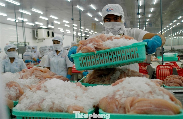 Một số ngành hàng như cá tra xuất khẩu sang Trung Đông đang tạm ngừng, tiêu thụ tại một số thị trường khác cũng chậm.