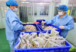 Agricultural exporters rush to comply with China’s new import rules