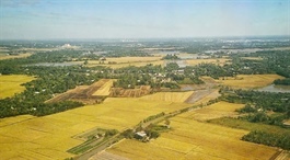 Fragrant rice deepens EU market presence