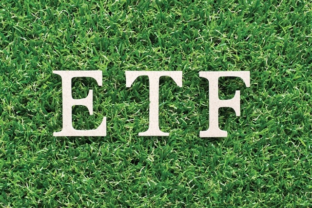 MarketVector Vietnam Local Index adds three newly listed stocks