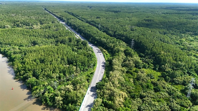 Cung đường Rừng S&aacute;c, nơi dự &aacute;n đường sắt Bến Th&agrave;nh - Cần Giờ sẽ đi song song. Ảnh: NHƯ NGỌC