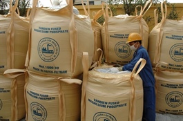 Một cổ phiếu phân bón đối mặt án hủy niêm yết