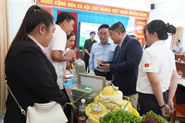 Vĩnh Long producers gain access to GO! supermarket system through connection programme