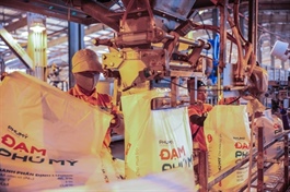 Fertiliser market strives to remain stable amid global shocks