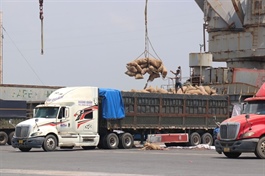 HCM City firms adjust markets to maintain jobs amid global shipping disruptions