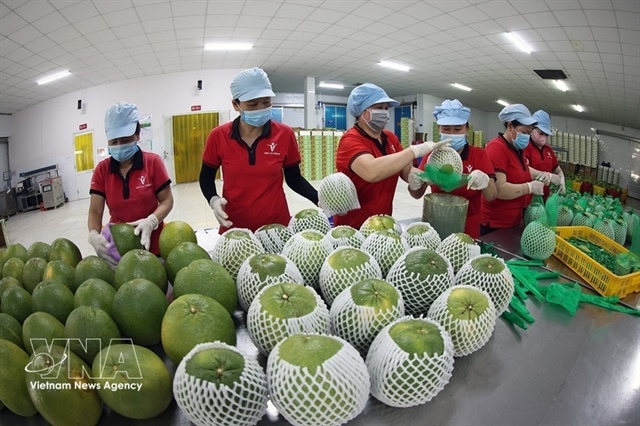 Efforts made to reinforce foundations of Việt Nam’s fruit, vegetable value chains