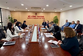 Việt Nam, Russia seek to expand partnership in industry, energy, trade