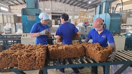 Crude rally, land conversions drive momentum in rubber stocks