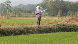 Hiệp hội Phân bón Quốc tế: Cú sốc nguồn cung hiện tại nghiêm trọng hơn cả năm 2022