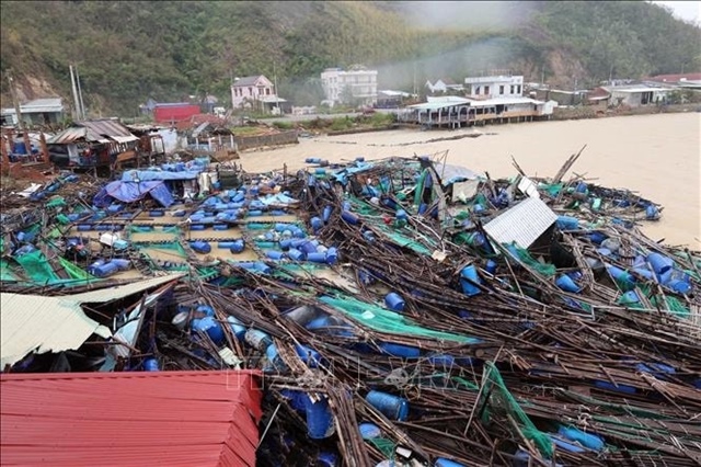 Non-life insurers see profits squeezed as climate risks intensify