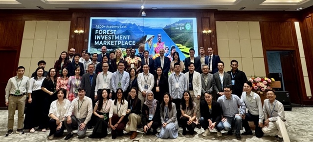 Officials call for scaled-up finance as Forest Investment Marketplace convenes in Hanoi