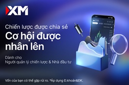Nơi nhà đầu tư và trader kết nối qua chiến lược và cơ hội được nhân rộng