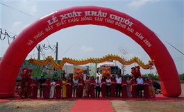 Đồng Nai exports 220 tonnes of banana globally