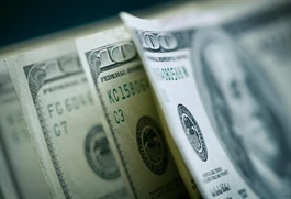 Giá USD chững lại đà tăng