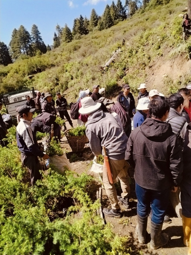 Financing the forest keepers