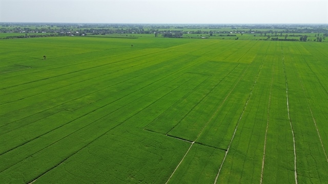 State loan subsidies to be tied to environmental standards